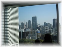 ホテルニューオータニからの眺め.JPG
