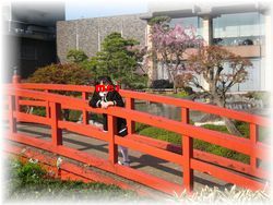 ホテルニューオータニの日本庭園２.JPG