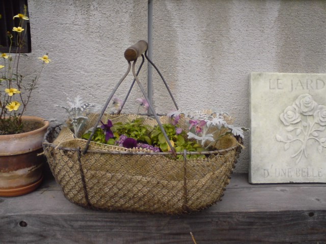 東通路ワイヤーバスケット寄せ植え.jpg