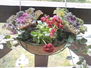 寄せ植え　ハンギング.jpg
