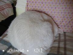 KIKI