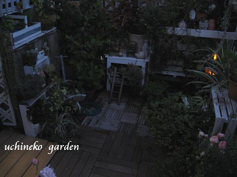 night garden2