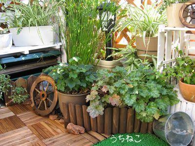 池まわり