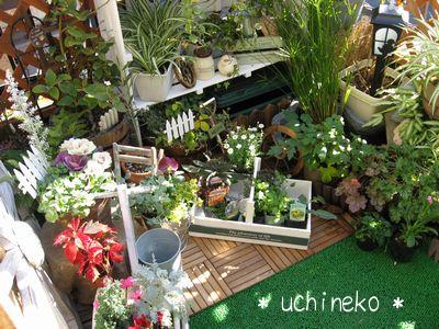 片付かないベランダ