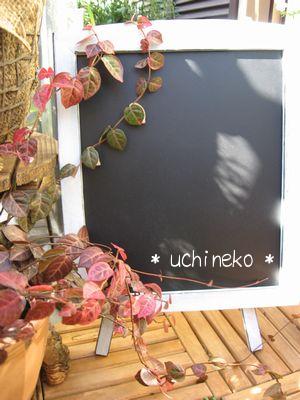 STAND BOARD