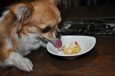 DSC_0084.jpg