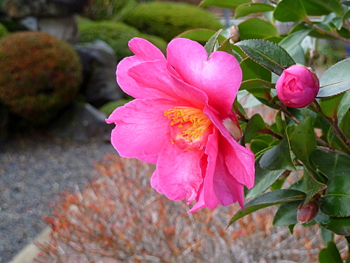 062-1.JPG