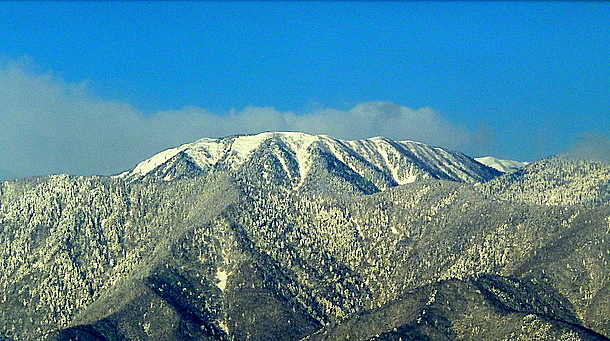 030-2.JPG