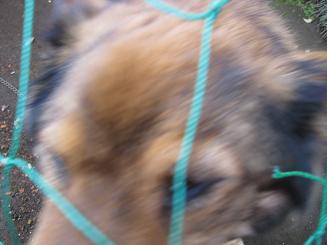 11062116.IMG_2141.JPG