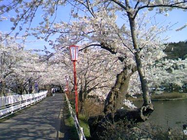 2009-04-25 15:37:11