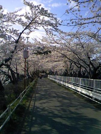 高松の池