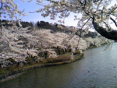 高松の池