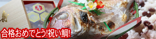 祝い鯛