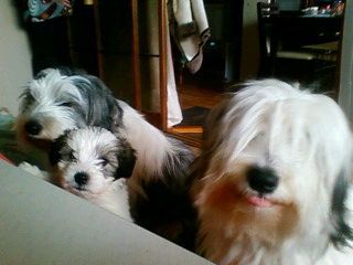 2011-01-31 19:16:19