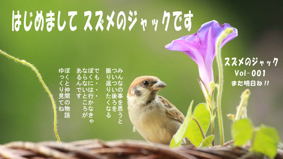r-jack-sparrow-001-5.jpg