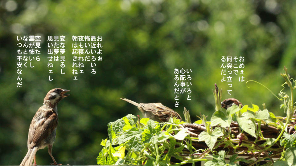 r-jack-sparrow-068-1.jpg