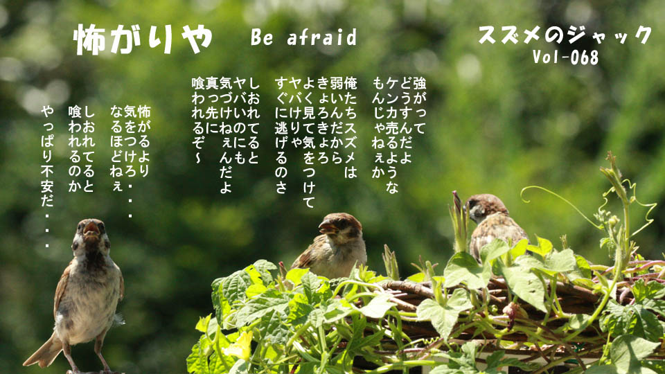 r-jack-sparrow-068-5.jpg