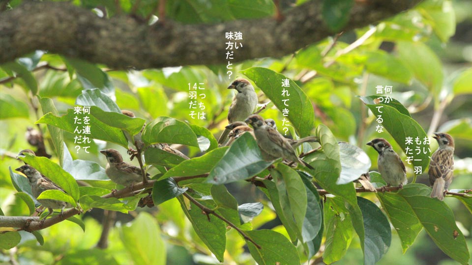 r-jack-sparrow-095-1.jpg