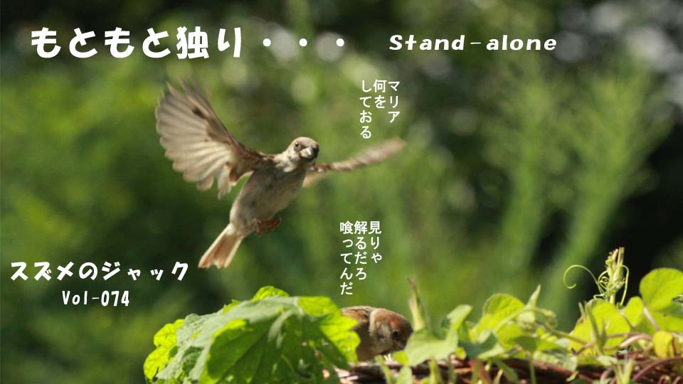 r-jack-sparrow-074-0.jpg