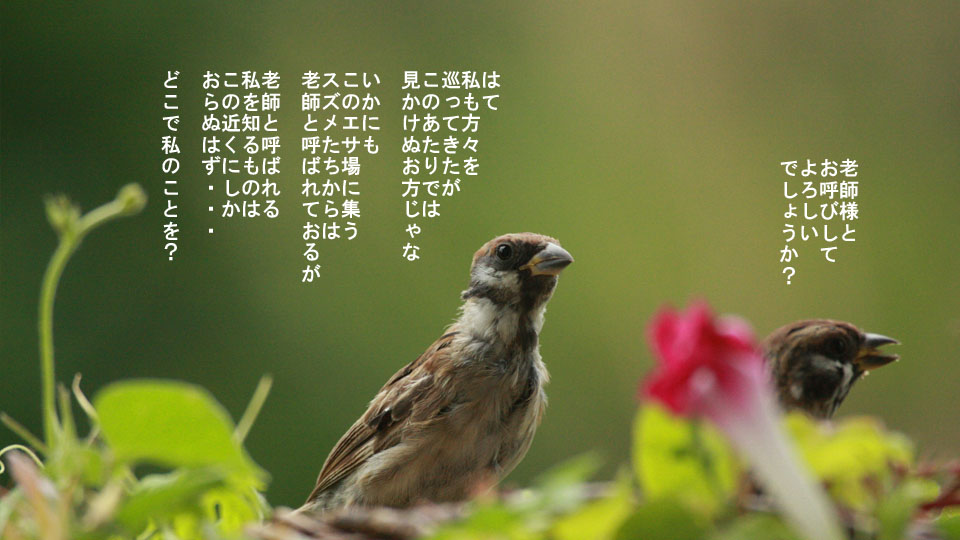 r-jack-sparrow-051-2.jpg