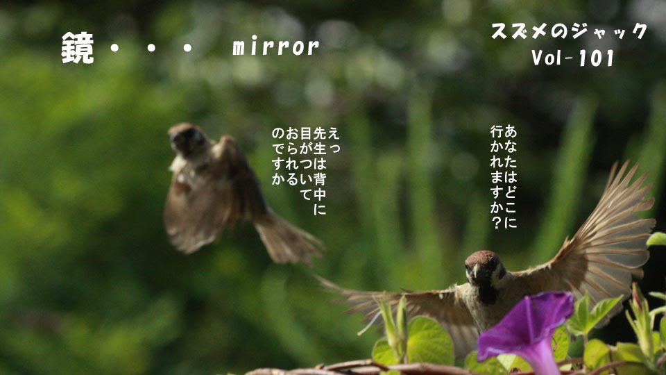 r-jack-sparrow-101-0.jpg