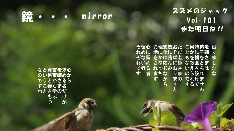 r-jack-sparrow-101-5.jpg