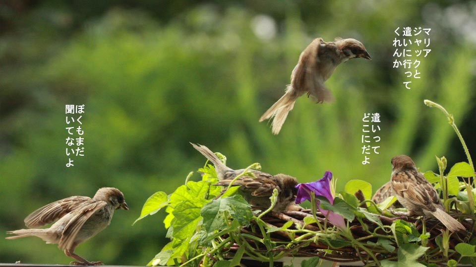 r-jack-sparrow-080-1.jpg