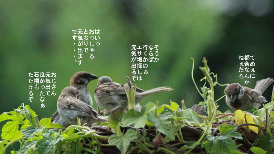 r-jack-sparrow-072-2.jpg