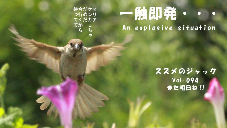 r-jack-sparrow-094-5.jpg