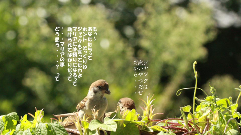 r-jack-sparrow-091-4.jpg