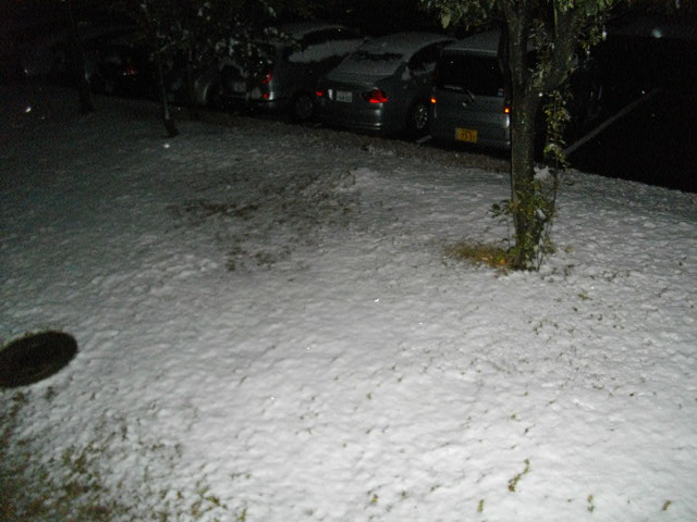 大阪北部で積雪