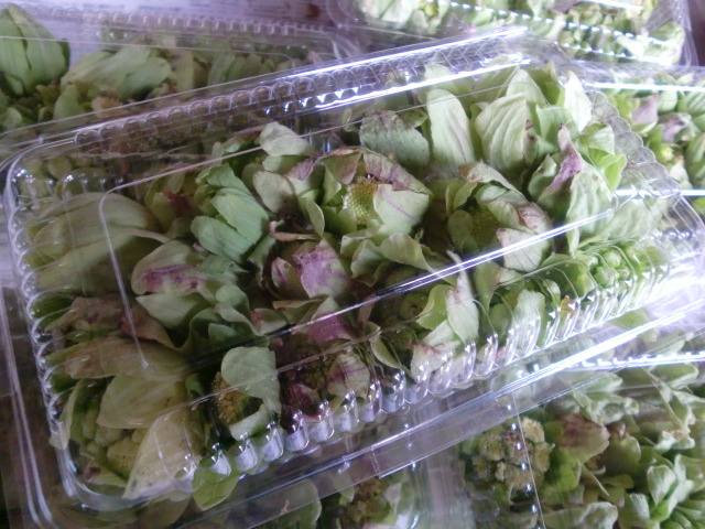 フキノトウパック入り