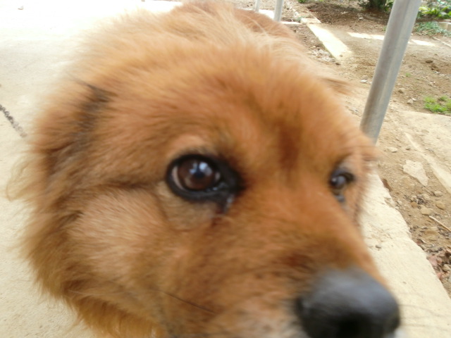 エリー食べさせろ