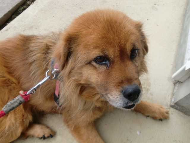 エリー飲んじゃった