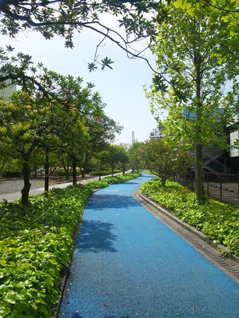 自転車専用道路