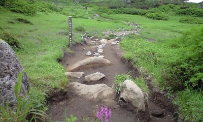 トムラウシ公園下山が多くなる.JPG