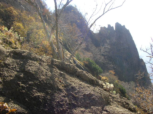 SANY0134.JPG