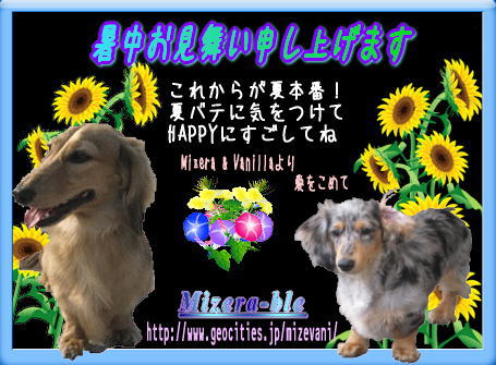2005-08-02 15:33:10