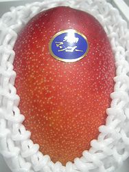 miyazaki-mango1