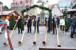alphorn