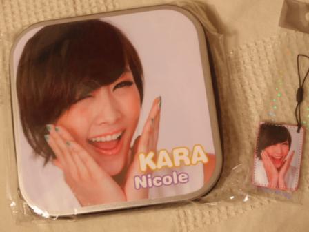 ＫＡＲＡニコル１