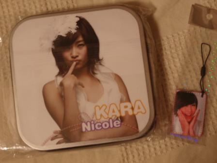 ＫＡＲＡニコル２