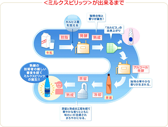 カルピスのうんちく