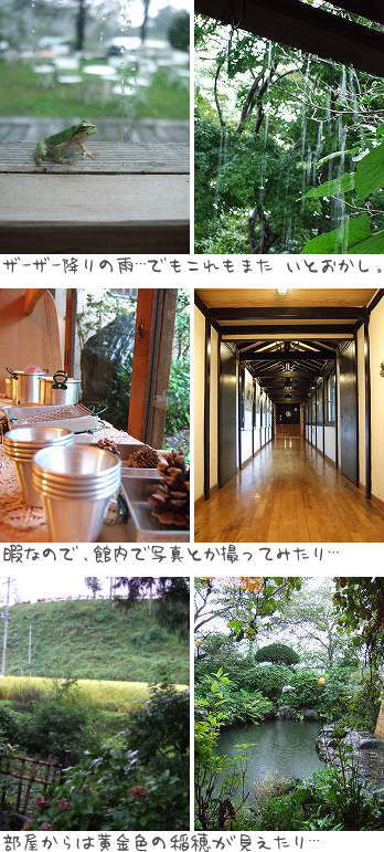 館内.jpg