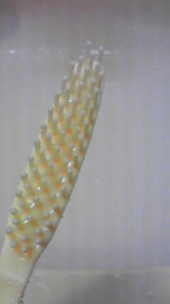 2012-01-08 07:35:24