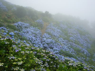 大河原20090705-2.jpg