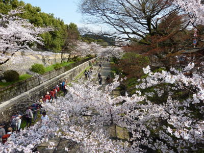 鉄道跡.jpg