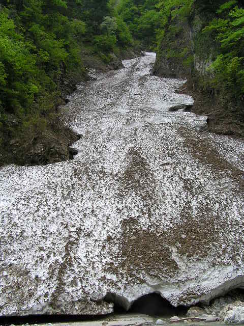 万年雪