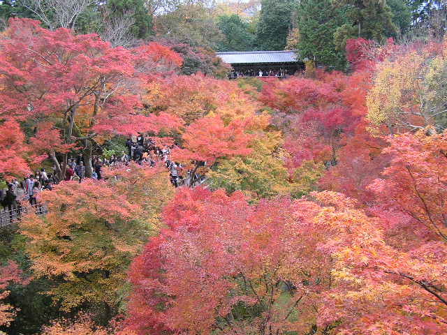 東福寺０１