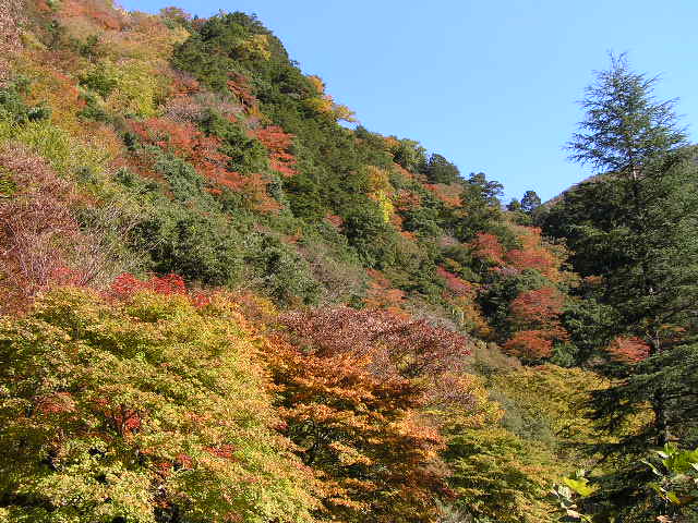 三段峡の紅葉 カントクの旅行日記 楽天ブログ